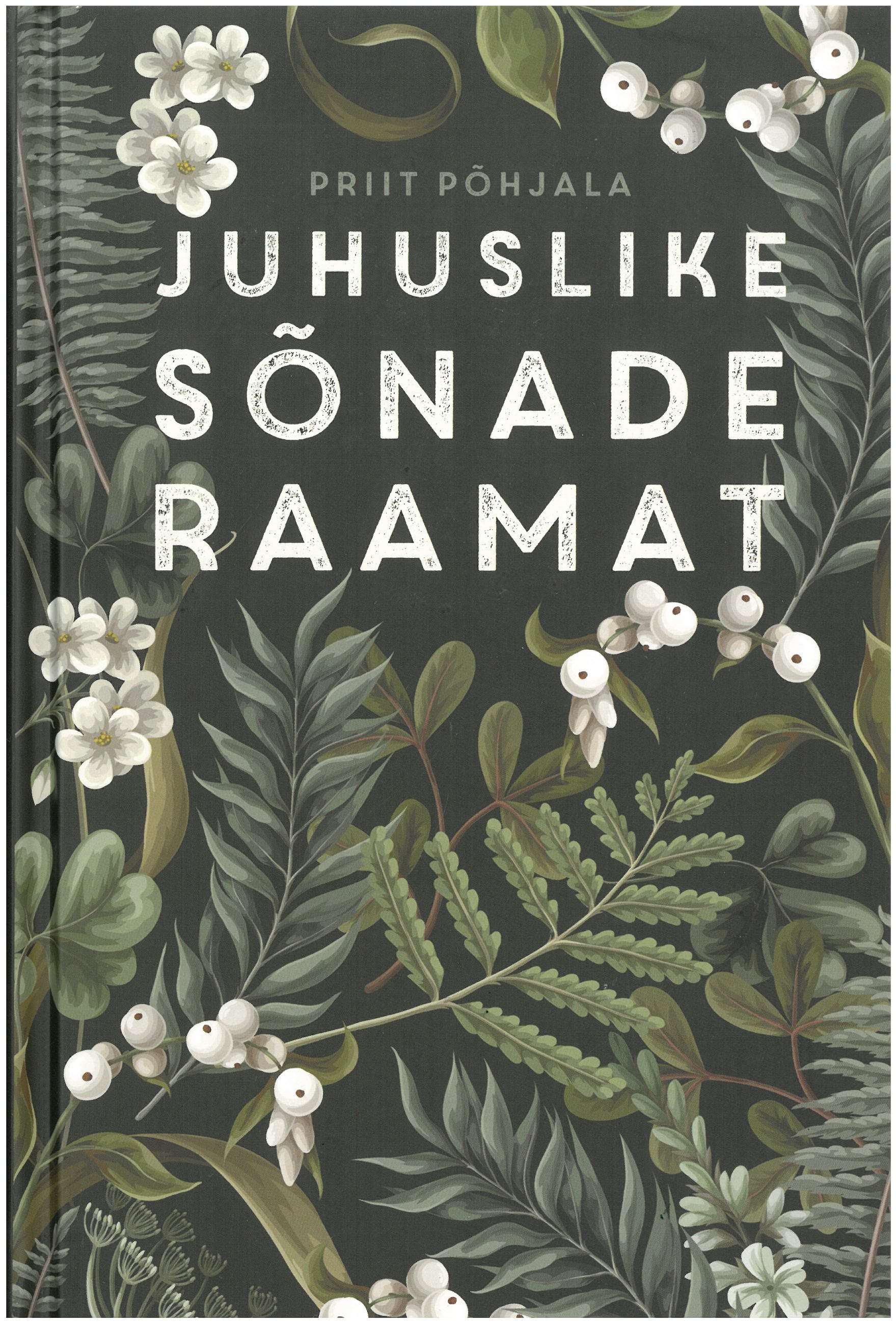 juhuslike sõnade raamat