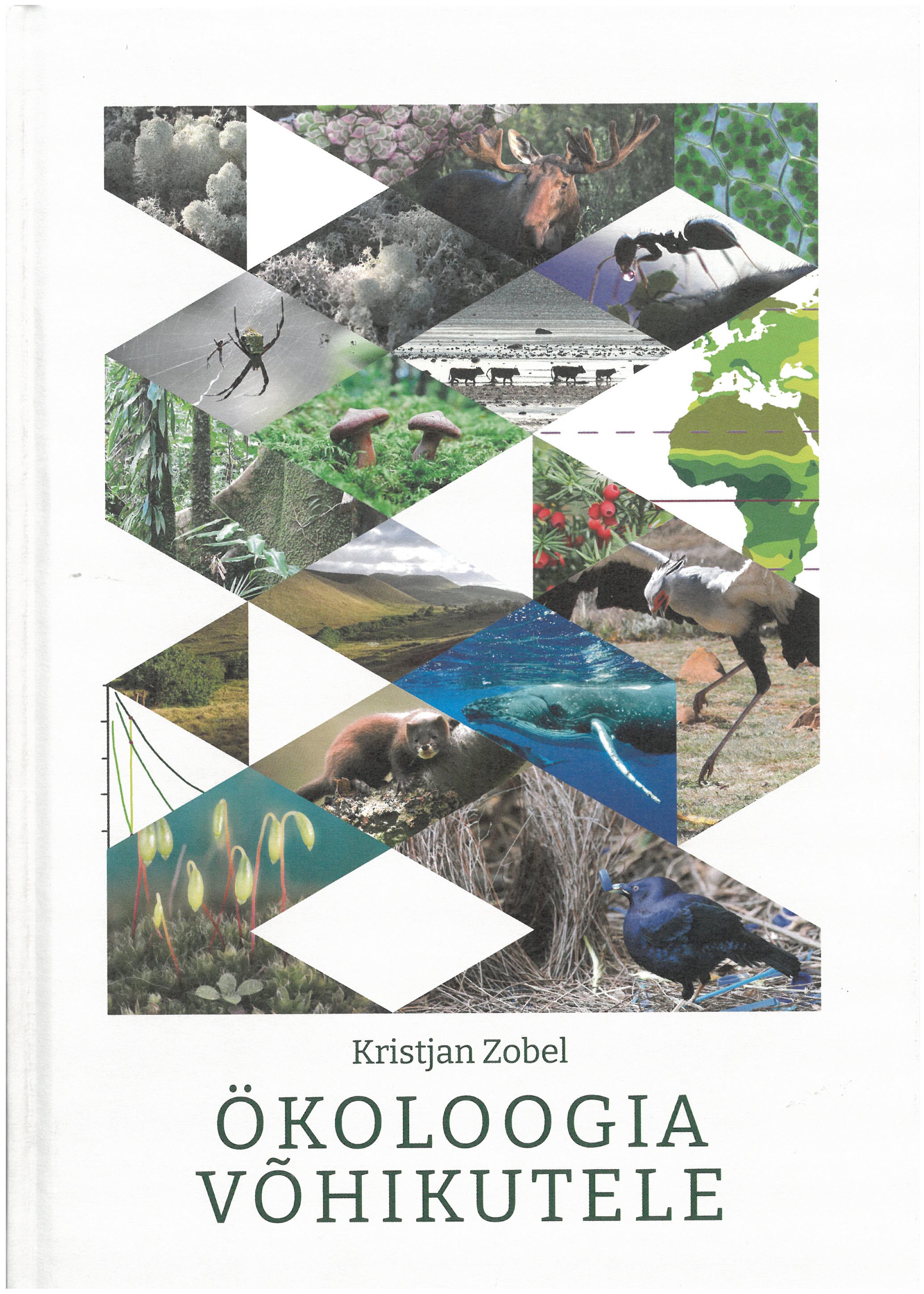 ökoloogia võhikutele